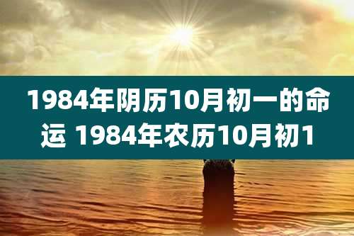1984年阴历10月初一的命运 1984年农历10月初1