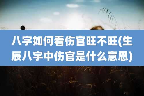 八字如何看伤官旺不旺(生辰八字中伤官是什么意思)