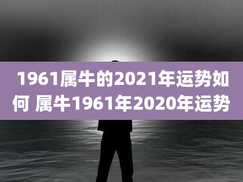 1961属牛的2021年运势如何 属牛1961年2020年运势