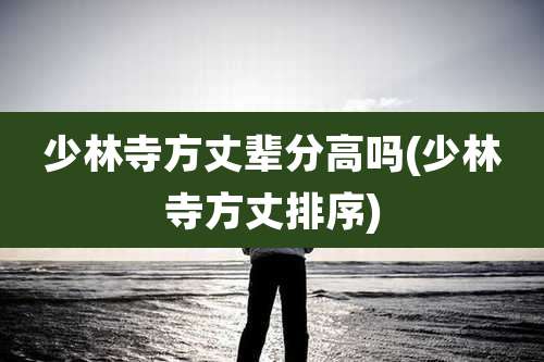 少林寺方丈辈分高吗(少林寺方丈排序)