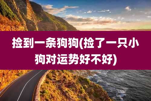 捡到一条狗狗(捡了一只小狗对运势好不好)