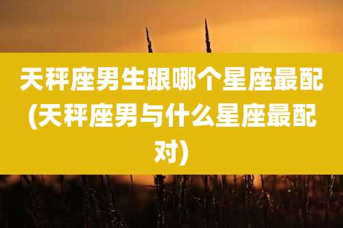 天秤座男生跟哪个星座最配(天秤座男与什么星座最配对)