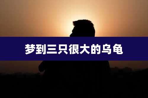 梦到三只很大的乌龟