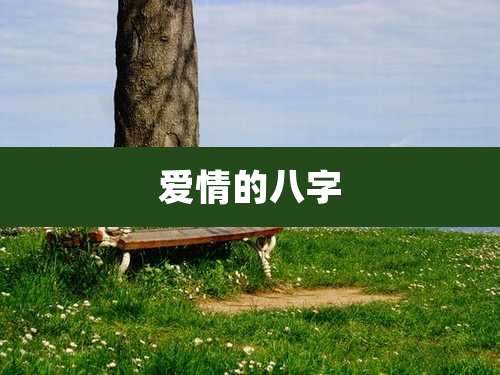 爱情的八字