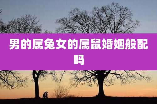 男的属兔女的属鼠婚姻般配吗