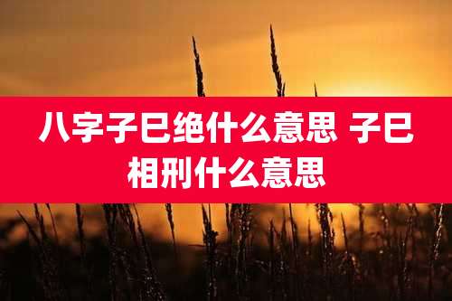 八字子巳绝什么意思 子巳相刑什么意思