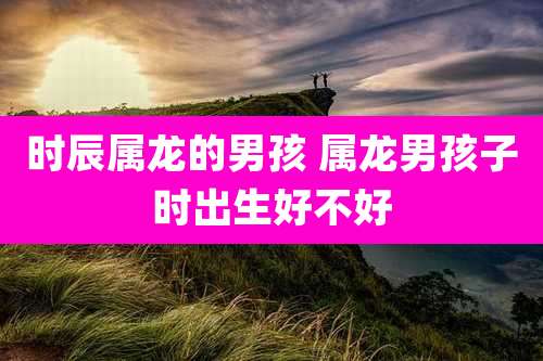 时辰属龙的男孩 属龙男孩子时出生好不好