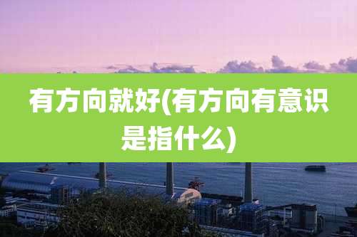 有方向就好(有方向有意识是指什么)