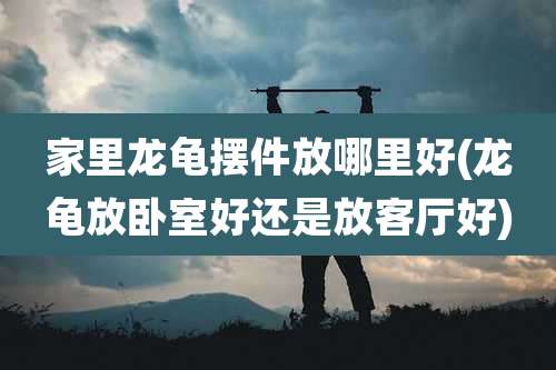 家里龙龟摆件放哪里好(龙龟放卧室好还是放客厅好)