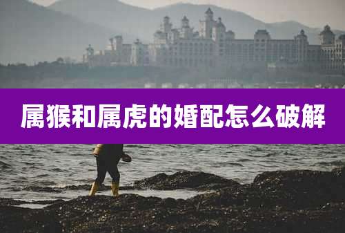 属猴和属虎的婚配怎么破解