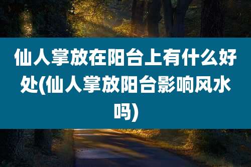 仙人掌放在阳台上有什么好处(仙人掌放阳台影响风水吗)