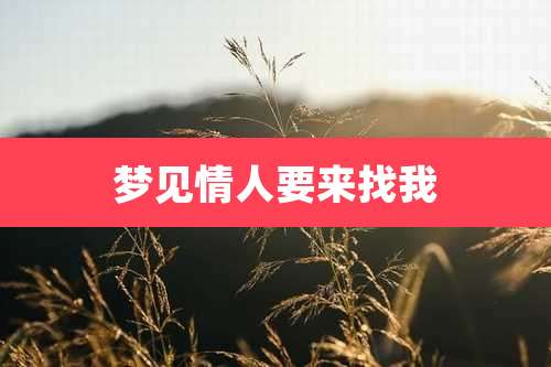 梦见情人要来找我