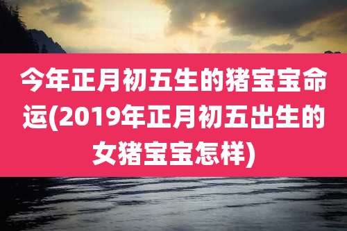 今年正月初五生的猪宝宝命运(2019年正月初五出生的女猪宝宝怎样)