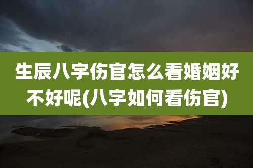 生辰八字伤官怎么看婚姻好不好呢(八字如何看伤官)