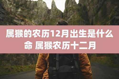 属猴的农历12月出生是什么命 属猴农历十二月