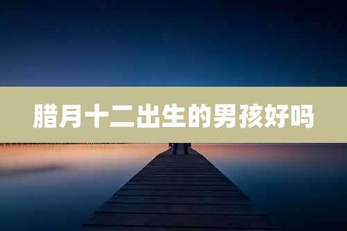腊月十二出生的男孩好吗