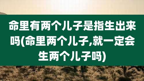命里有两个儿子是指生出来吗(命里两个儿子,就一定会生两个儿子吗)