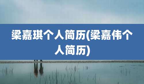 梁嘉琪个人简历(梁嘉伟个人简历)