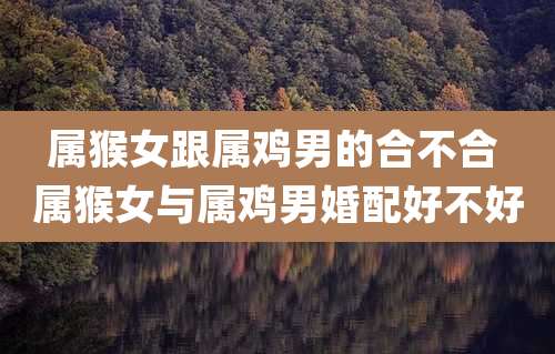 属猴女跟属鸡男的合不合 属猴女与属鸡男婚配好不好