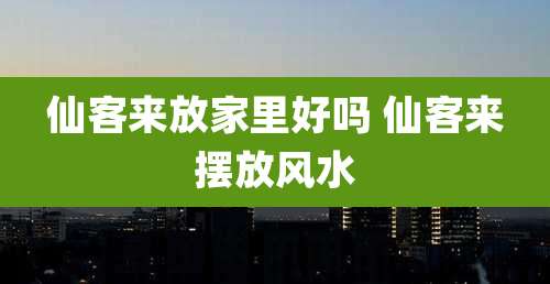 仙客来放家里好吗 仙客来摆放风水