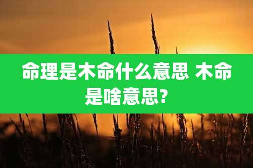 命理是木命什么意思 木命是啥意思?