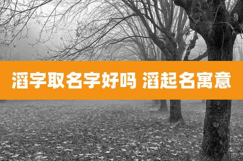 滔字取名字好吗 滔起名寓意