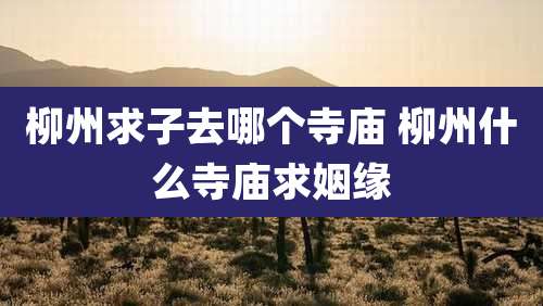 柳州求子去哪个寺庙 柳州什么寺庙求姻缘