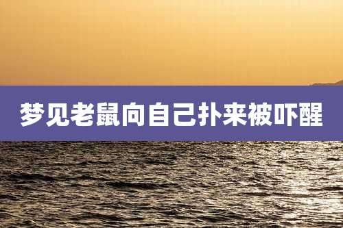梦见老鼠向自己扑来被吓醒