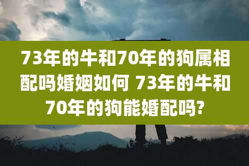 73年的牛和70年的狗属相配吗婚姻如何 73年的牛和70年的狗能婚配吗?