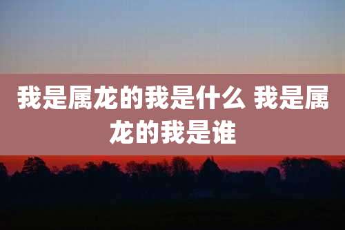 我是属龙的我是什么 我是属龙的我是谁