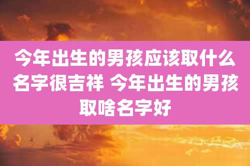 今年出生的男孩应该取什么名字很吉祥 今年出生的男孩取啥名字好