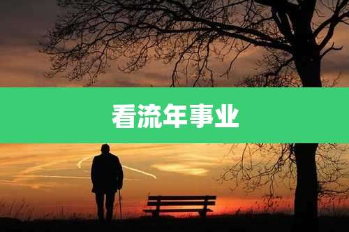 看流年事业