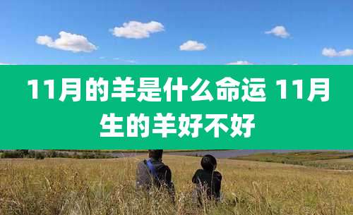 11月的羊是什么命运 11月生的羊好不好
