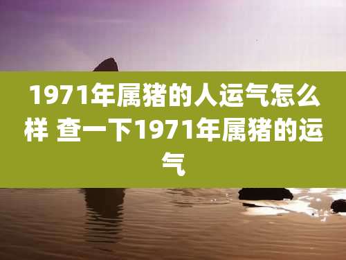 1971年属猪的人运气怎么样 查一下1971年属猪的运气