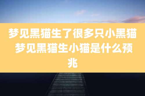 梦见黑猫生了很多只小黑猫 梦见黑猫生小猫是什么预兆