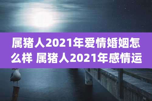 属猪人2021年爱情婚姻怎么样 属猪人2021年感情运