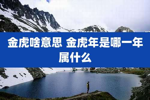 金虎啥意思 金虎年是哪一年属什么