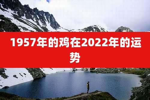 1957年的鸡在2022年的运势
