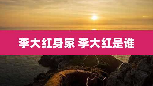李大红身家 李大红是谁
