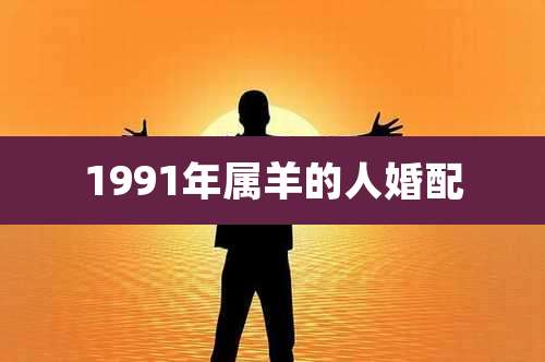 1991年属羊的人婚配