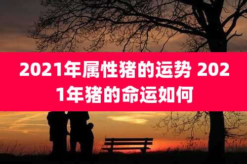 2021年属性猪的运势 2021年猪的命运如何