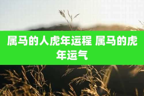 属马的人虎年运程 属马的虎年运气