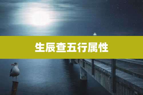 生辰查五行属性