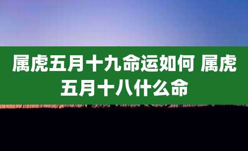 属虎五月十九命运如何 属虎五月十八什么命
