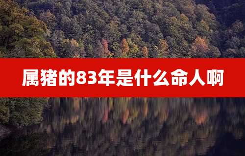 属猪的83年是什么命人啊