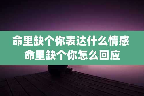 命里缺个你表达什么情感 命里缺个你怎么回应