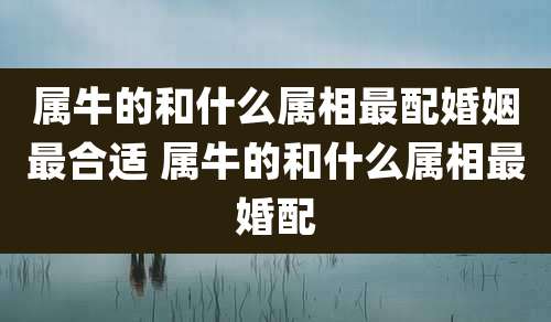 属牛的和什么属相最配婚姻最合适 属牛的和什么属相最婚配