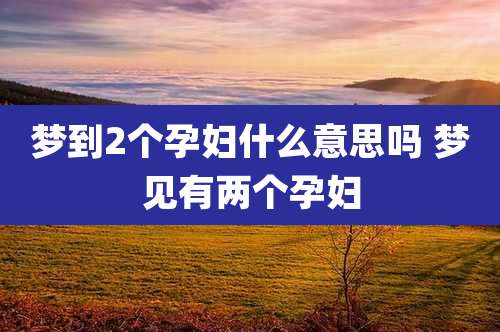 梦到2个孕妇什么意思吗 梦见有两个孕妇