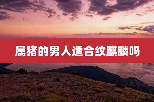 属猪的男人适合纹麒麟吗