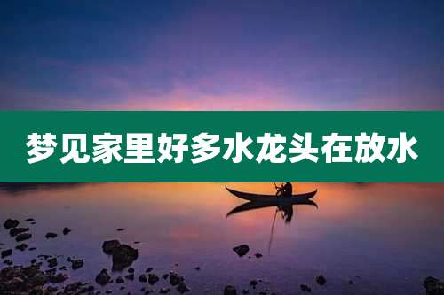 梦见家里好多水龙头在放水